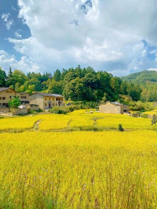 【北京头条】曹赟诗歌专辑236期（图7）