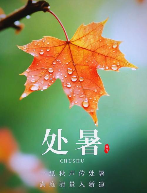 【北京头条】安忠和诗歌专辑159期(图4)