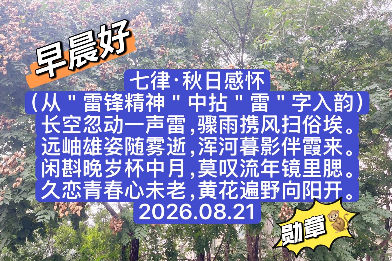 【北京头条】孙勋章晨卡诗歌专辑041期（图10）