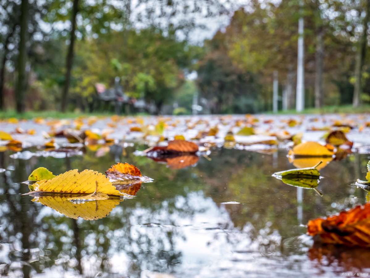 【北京头条】周金山诗歌专辑127期(图4)