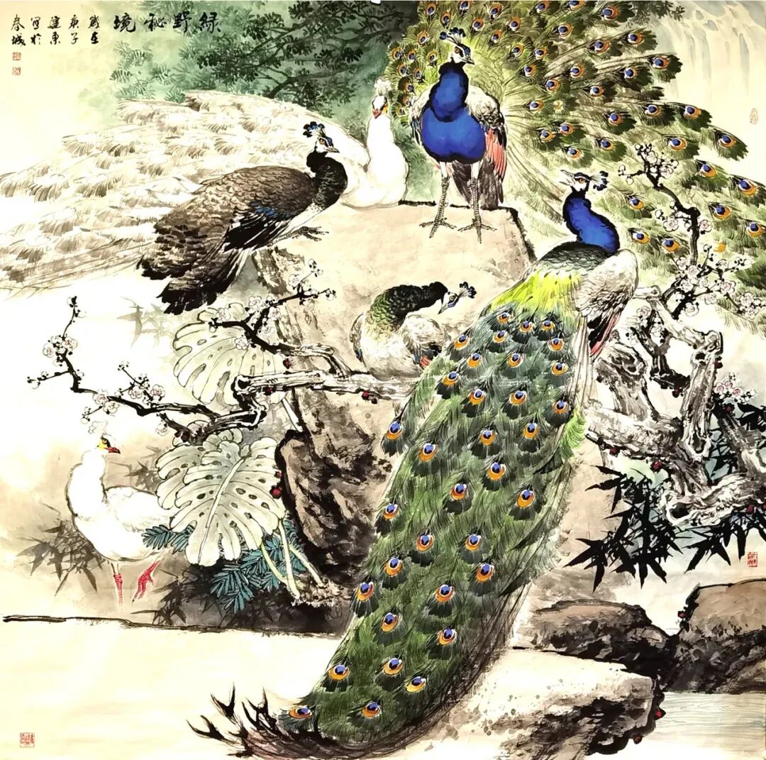 图片