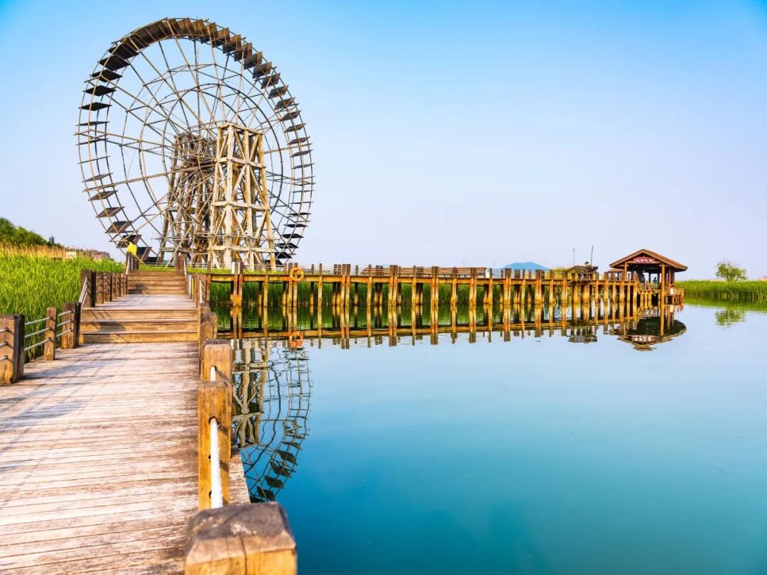 2025苏州太湖湖滨国家湿地公园-旅游攻略-门票-地址-问答-游记点评,苏州旅游旅游景点推荐-去哪儿攻略