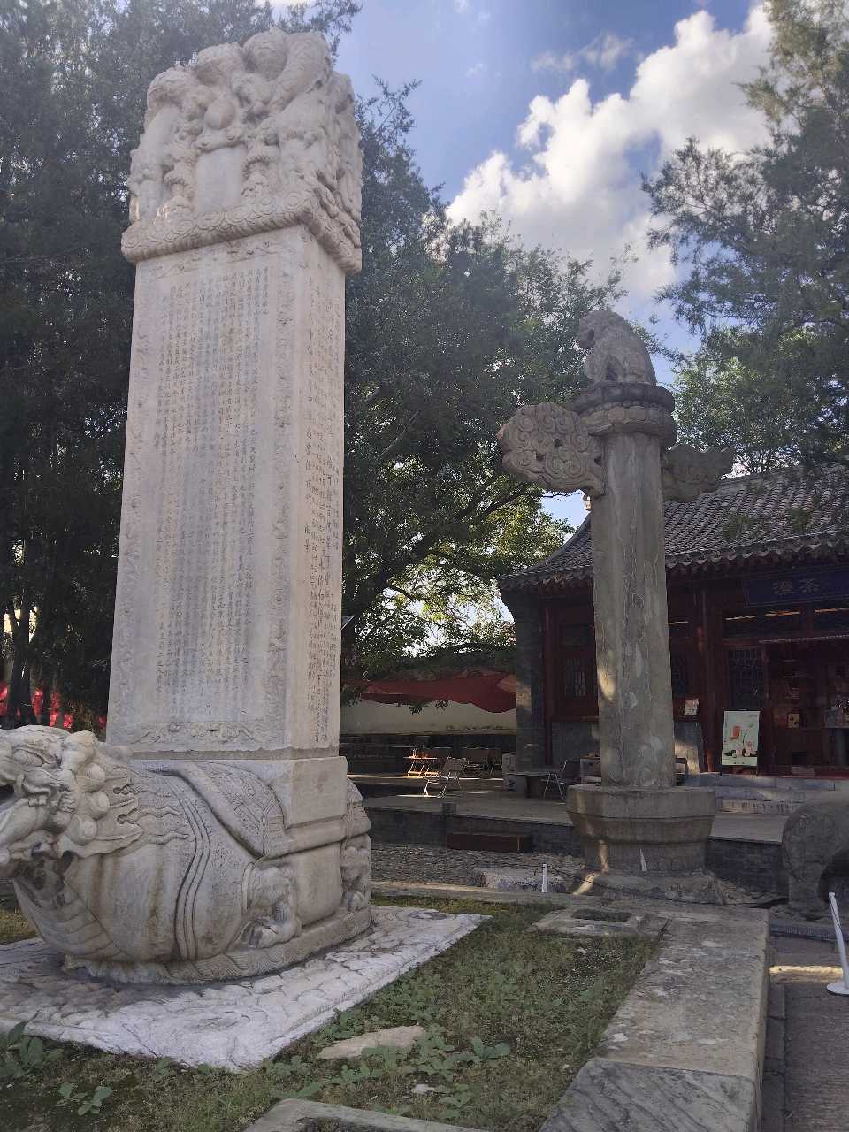 黄晓明‖石头的低语——被时光揉皱的“固态河流”（图7）