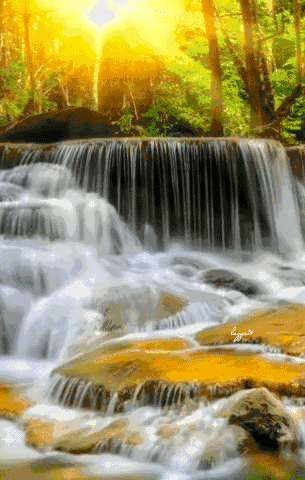 images/2/2026/09/K1swP8ldDGcHbDGByZ88QhnTKylQtb.gif