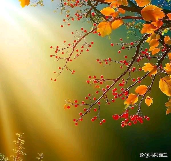 朝中措·秋日试笔（外三首） 作者:金夜（兰州）（图2）