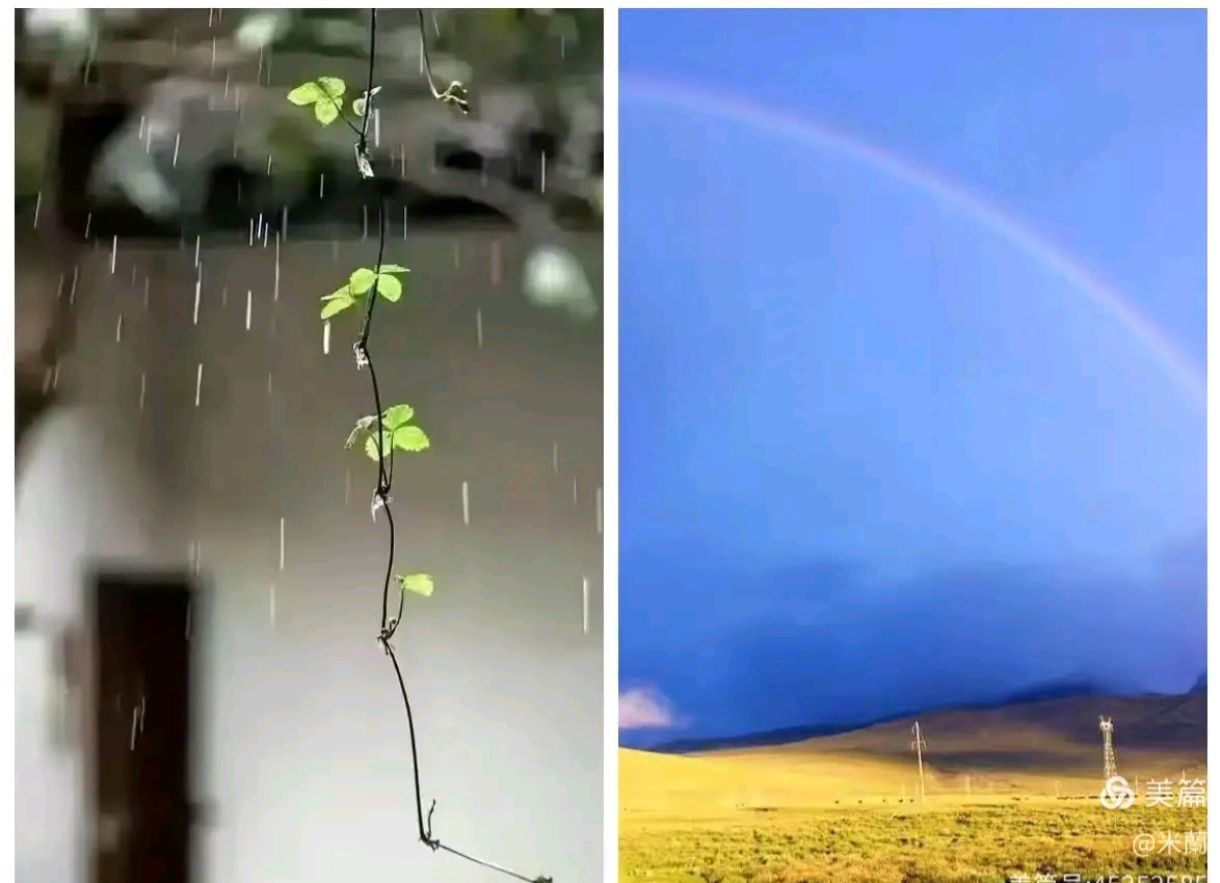 【忆峥嵘岁月稠之三】雨的律动 作者：陈鑫（青海西宁）（图3）