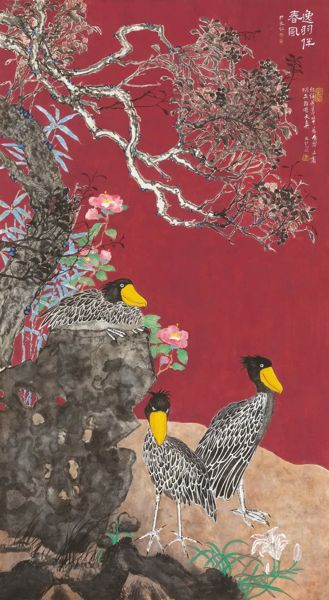 图片