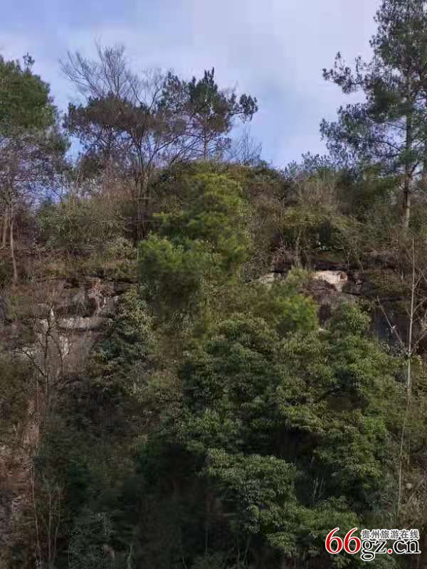 微信图片_20210205183046.jpg