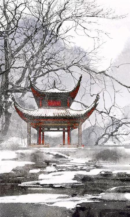 冬天来了,100句带有“雪”字的飞花令,送给喜欢的网友朋友们