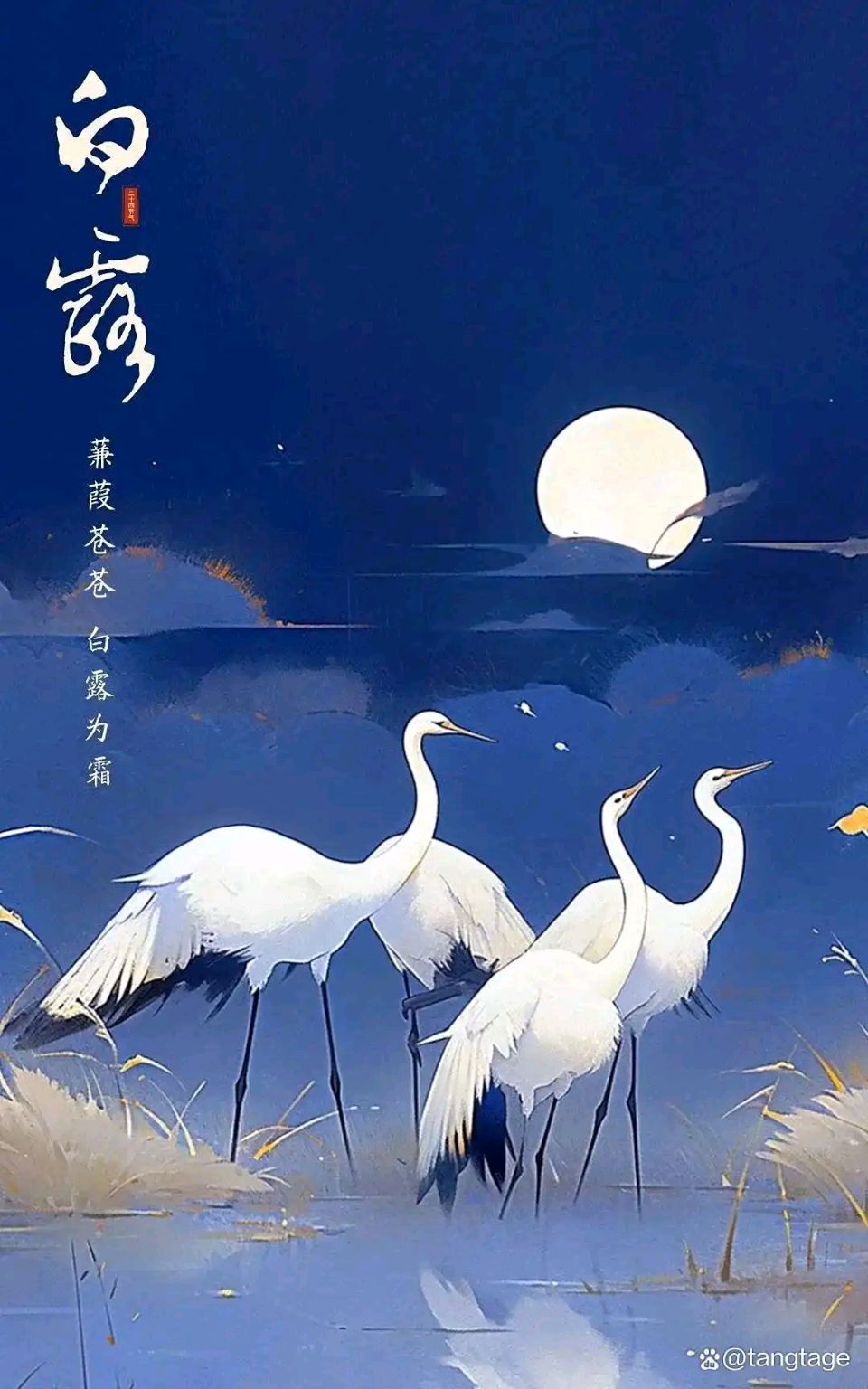 【经典推荐】张燕良//纪念“抗日战争胜利”81周年[外四首]（图9）