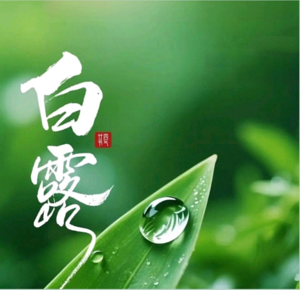 《七绝·白露》作者/大马迎风 简约生活 张庆业 陈福林 冯全武 樊明堃 篆刻/息连有 刊头题字/王玉 (原创)（图5）