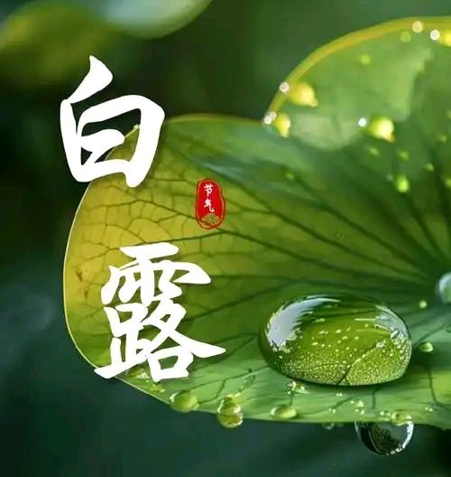 《七绝·白露》作者/大马迎风 简约生活 张庆业 陈福林 冯全武 樊明堃 篆刻/息连有 刊头题字/王玉 (原创)（图4）