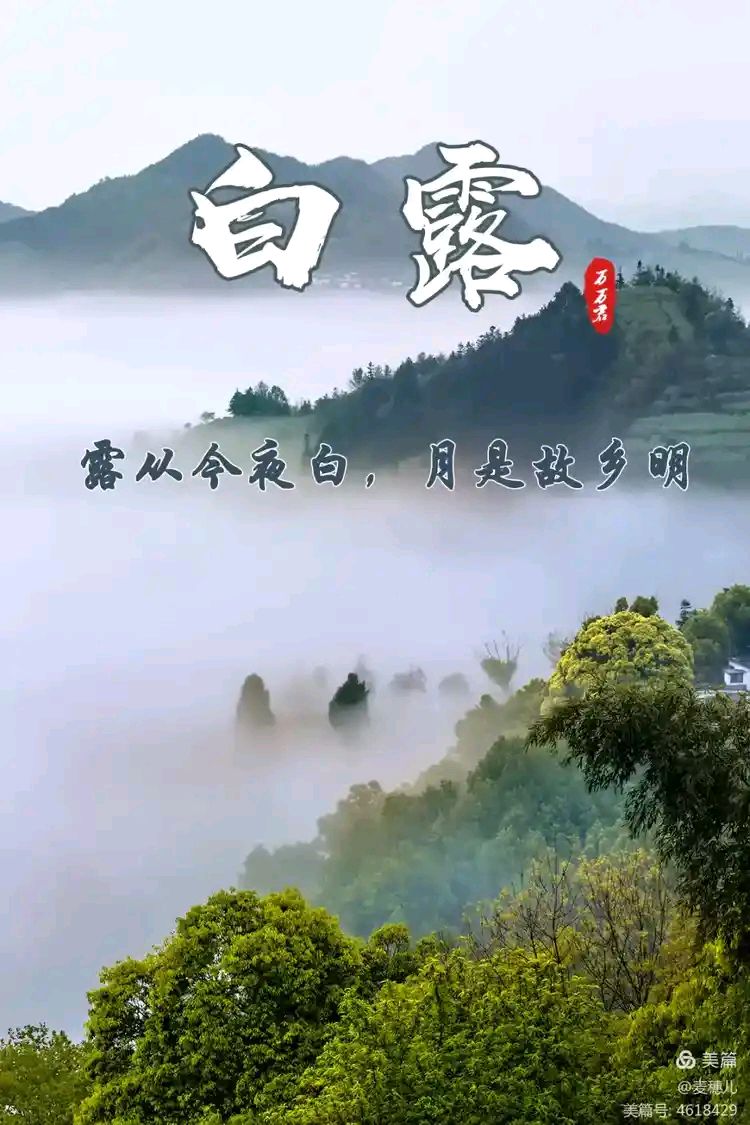 【经典推荐】曾培方//丙午岁白露闲吟（图4）