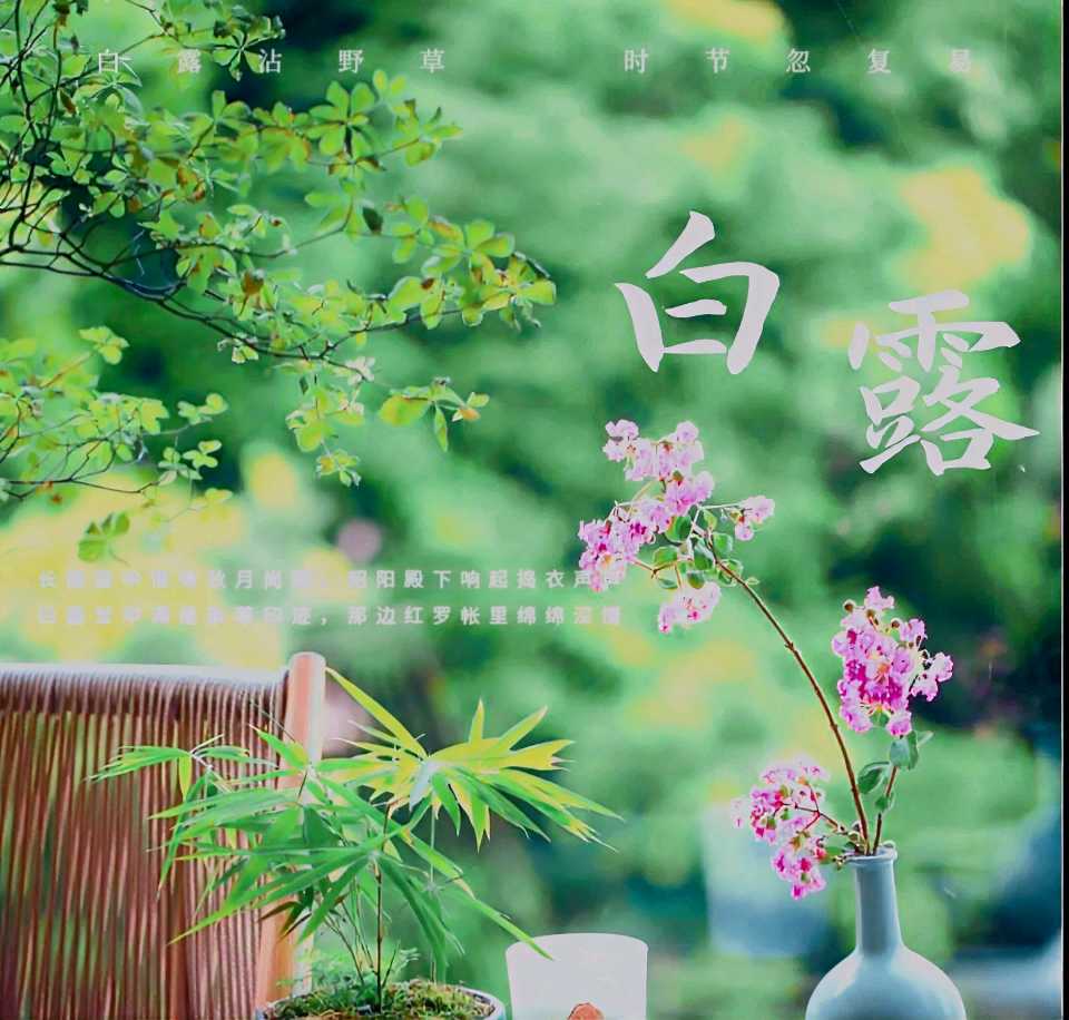 《七绝·白露》作者/大马迎风 简约生活 张庆业 陈福林 冯全武 樊明堃 篆刻/息连有 刊头题字/王玉 (原创)（图6）