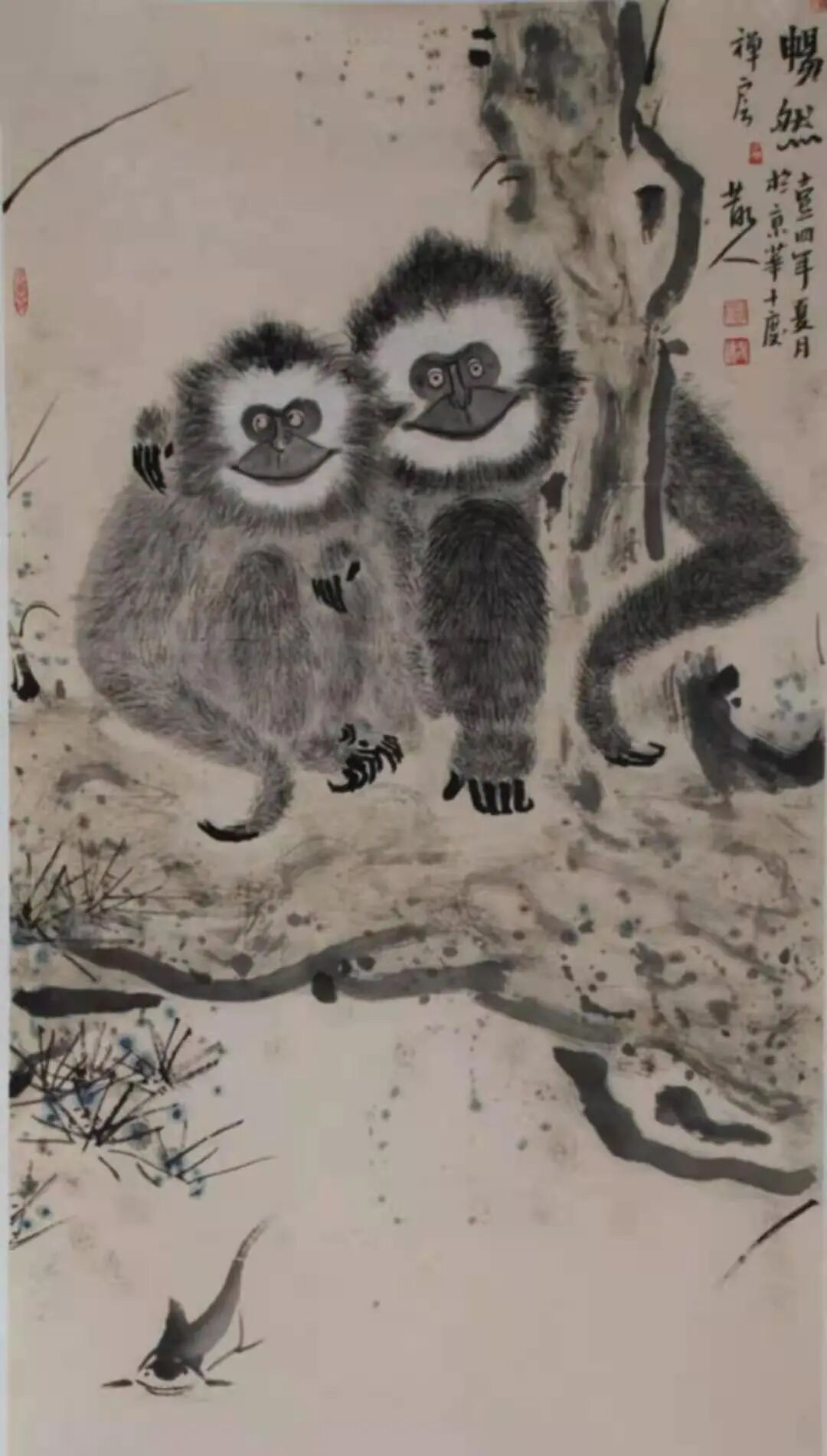图片