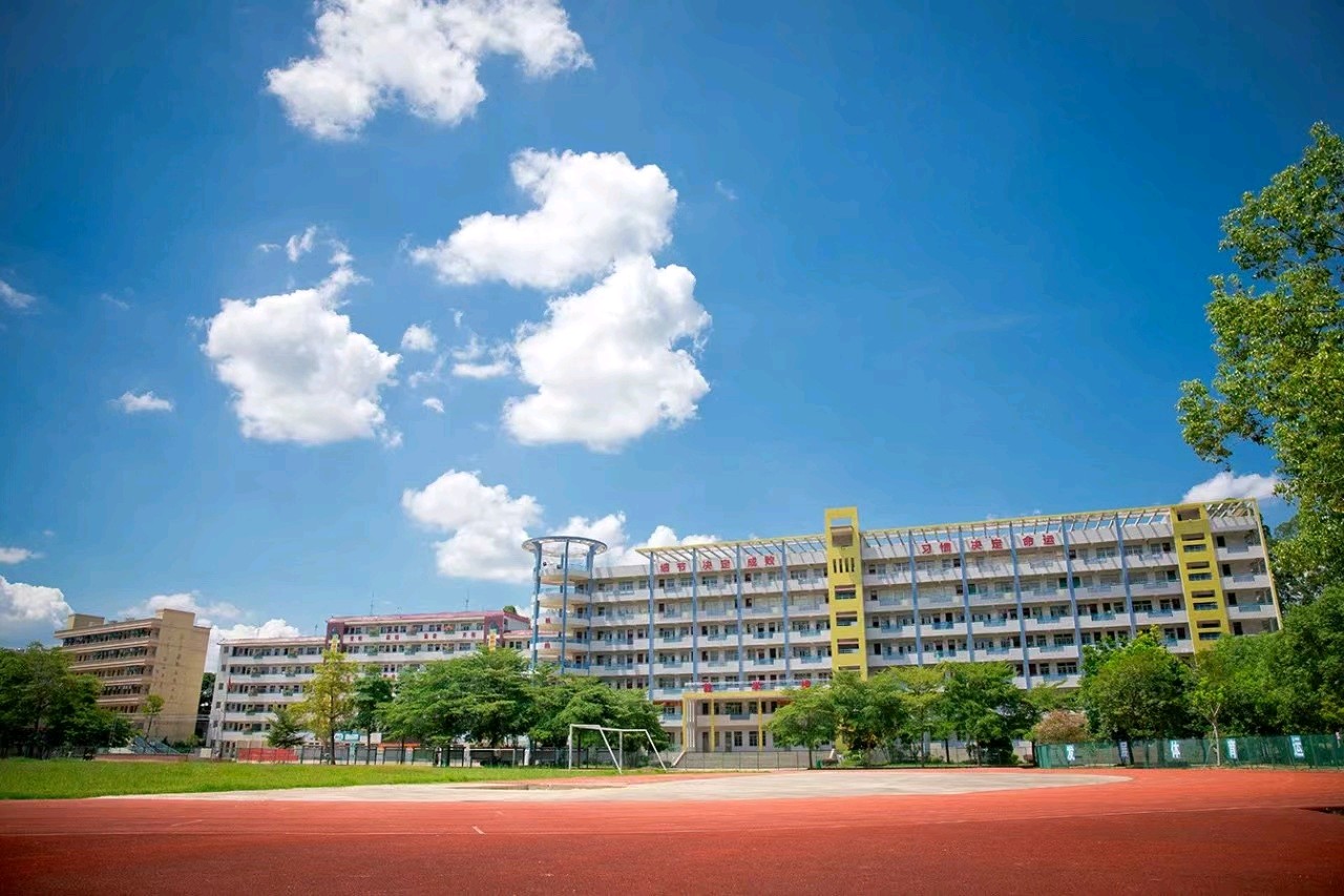 《贺化州市合江中学建校七十周年辉煌业绩》联机全球发布谢瑛中作品欣赏(图23)