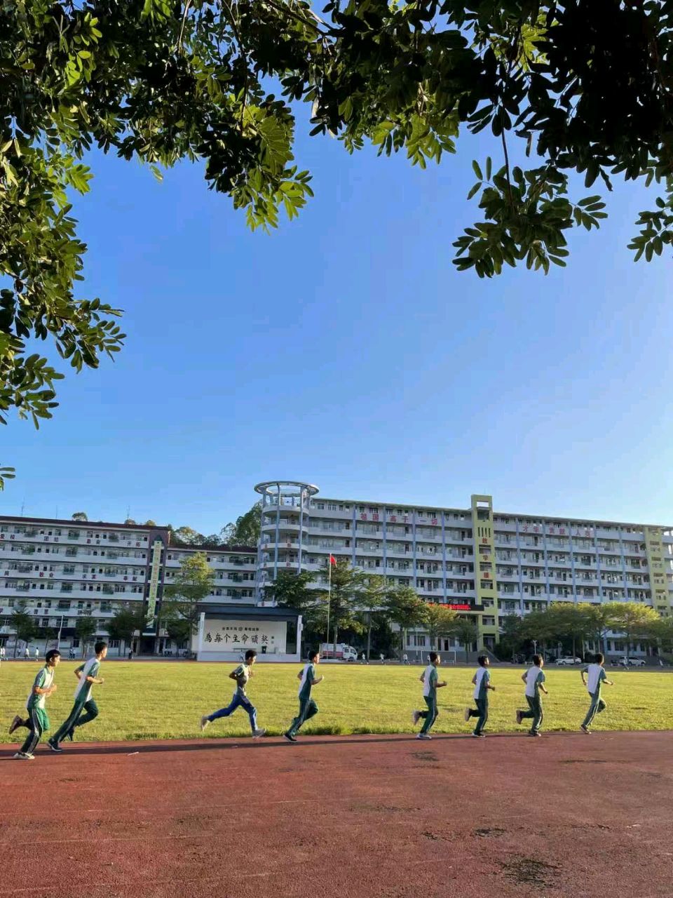 《贺化州市合江中学建校七十周年辉煌业绩》联机全球发布谢瑛中作品欣赏(图16)