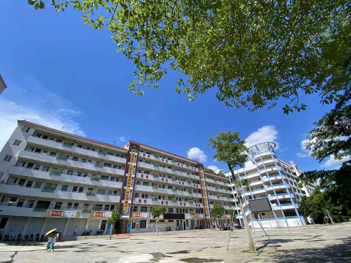 《贺化州市合江中学建校七十周年辉煌业绩》联机全球发布谢瑛中作品欣赏(图10)