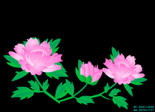 自由诗 《白露时节遣幽思》 作者:连振华/广东（图5）