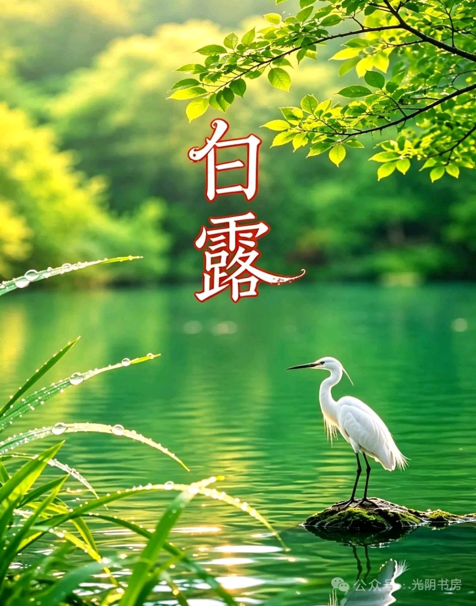 聆听 ‖ 蓝莓朗诵《白露秋思》作者/时光若蘭（图4）