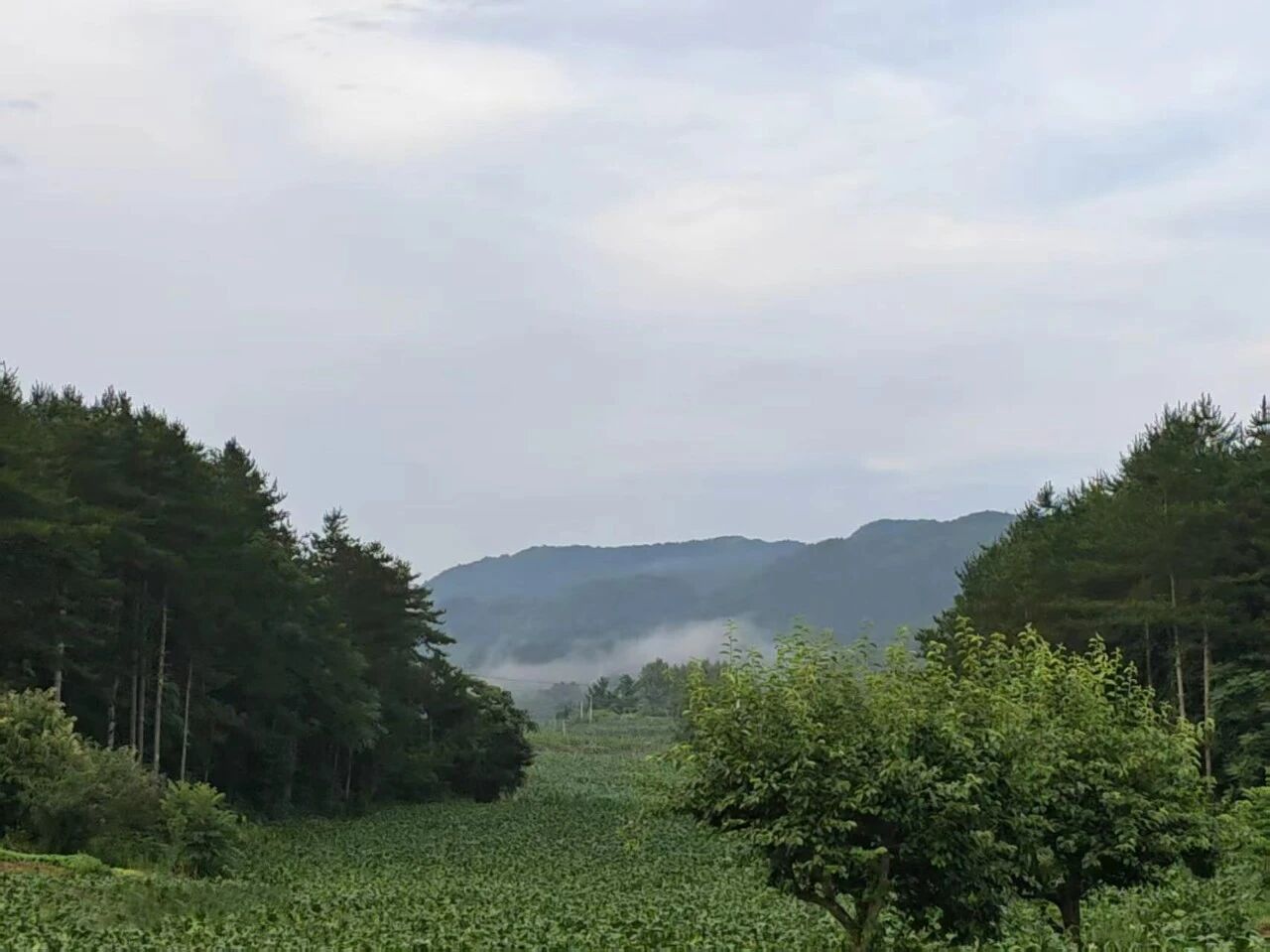 《九州风雅颂》祖碑研究之四 映照家族建功立业历程(4)——五世五十八位玄孙(大字派)功名与业绩考(图4)