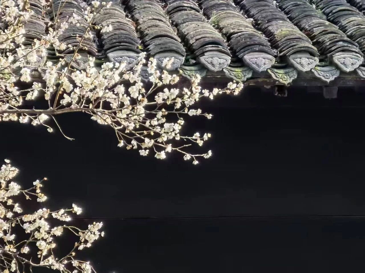 《九州风雅颂》祖碑研究之四 映照家族建功立业历程(4)——五世五十八位玄孙(大字派)功名与业绩考(图5)
