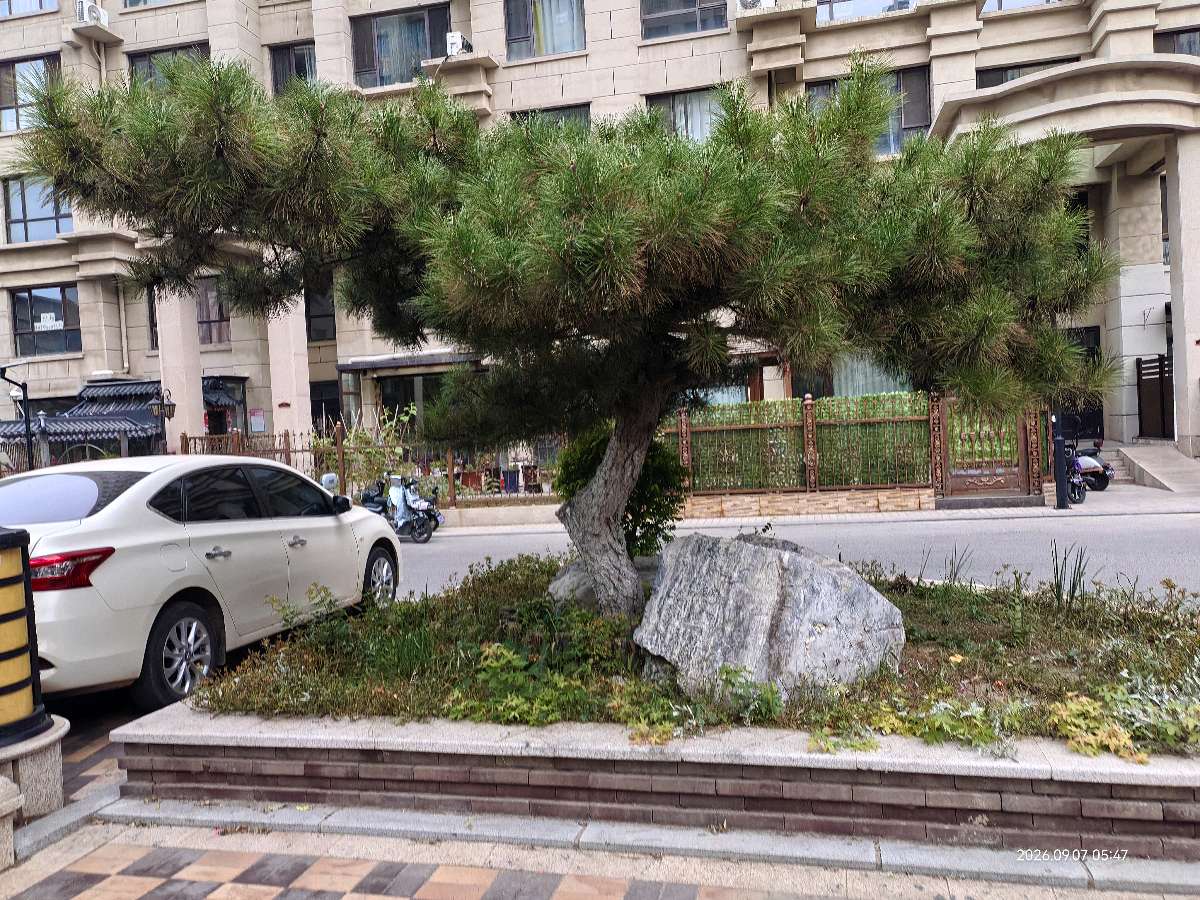 《感恩》陈更新。（图3）