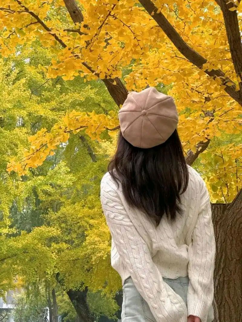 《你没有听错》作者：公主小妹 | 主播：丹桂【桃源国际诗歌文化传媒】桃源•馨声（图6）