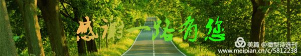 《中国微型诗排行榜》2026年度选本来稿选登‖第050期｜随风的作品（图9）
