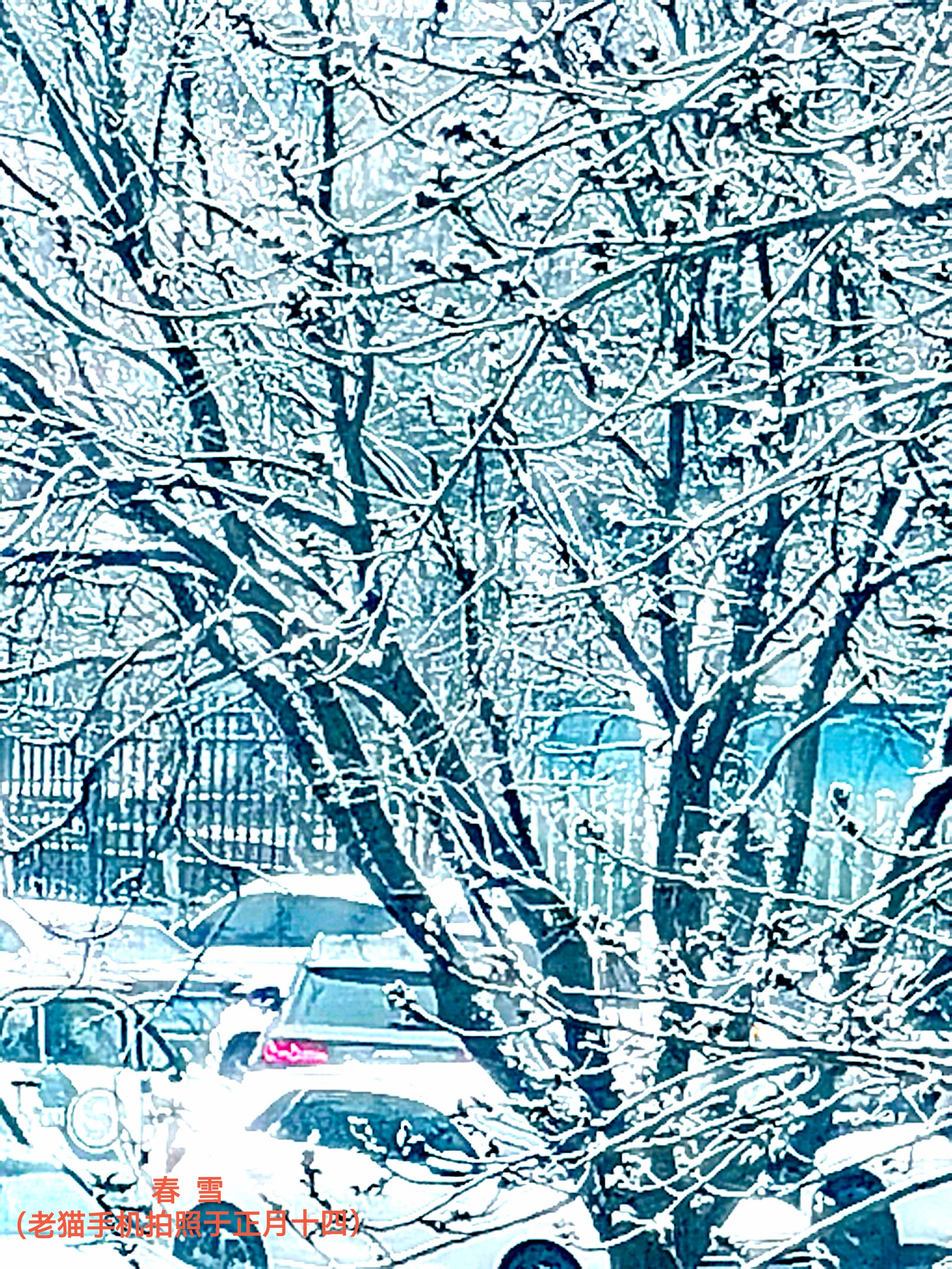 水墨·心象 | 席英 舒怡：当国画底蕴遇上手机镜头—— 徐茂林手机摄影赏析（图5）