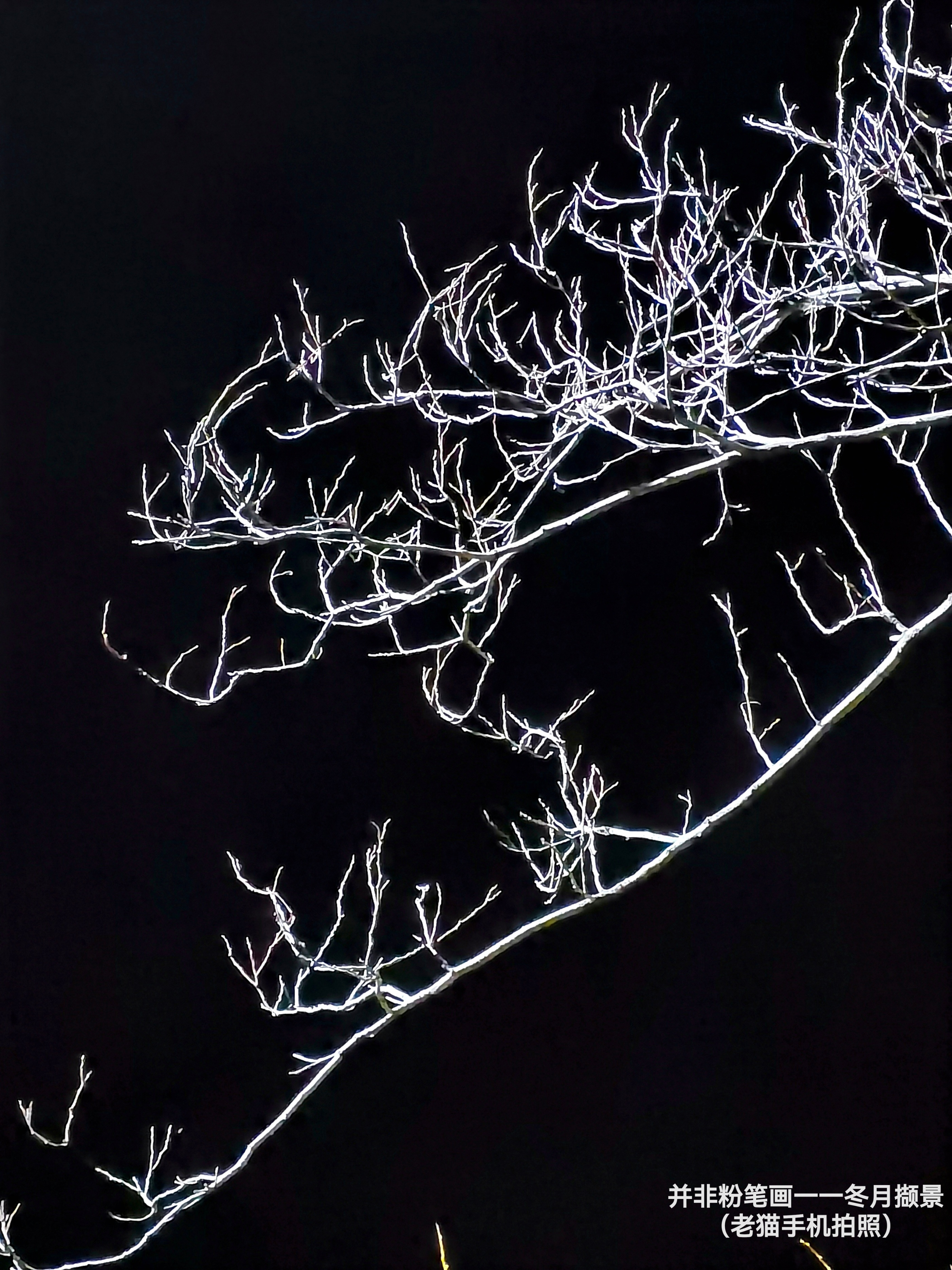 水墨·心象 | 席英 舒怡：当国画底蕴遇上手机镜头—— 徐茂林手机摄影赏析（图2）