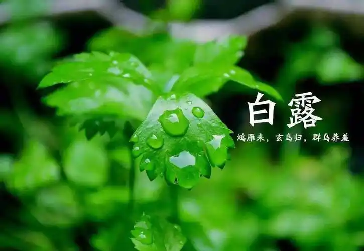 【北京头条】詹家洪诗歌专辑035期(图4)