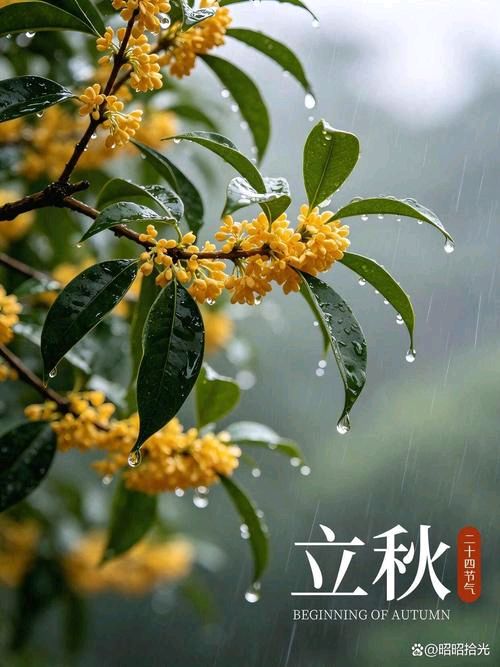 【北京头条】唐子岳诗歌专辑380期(图10)