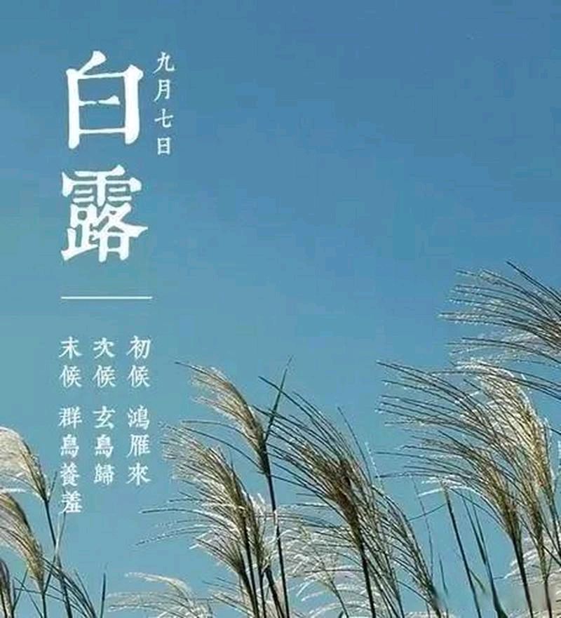 【北京头条】鲍晚仪诗歌专辑068期(图8)