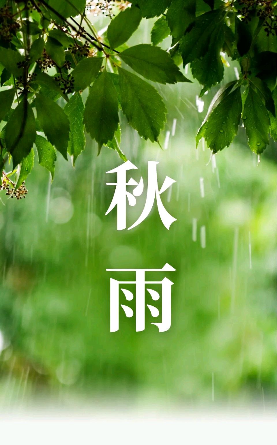 【北京头条】阿伟（匡定伟·小草）诗歌专辑009期（图5）