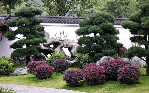 请欣赏《七律.雨夜念伊人》作者/王楼 主播/编辑/治新【中国长江文学社】有声文学平台【第19738期】（图4）