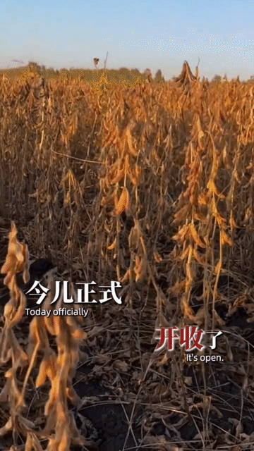 原创《我的家乡是黑龙江》作者:兰儿丨主播:边城-清秋冷月-品茶听涛-拾柴女生-致远方-兰儿-木头-布丁-秀水蓝天丨编配合成 : 乔安丨总编 : 平 凡(图5)