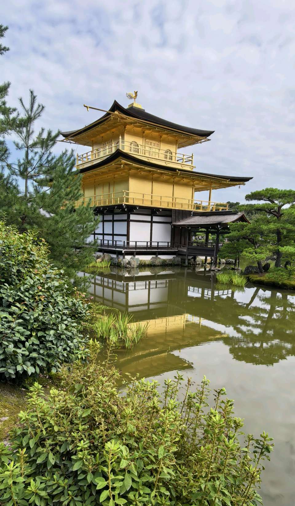 10.七绝·鹿苑寺(外一首)（图6）