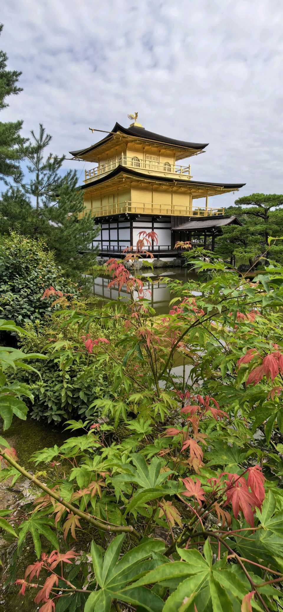 10.七绝·鹿苑寺(外一首)（图7）