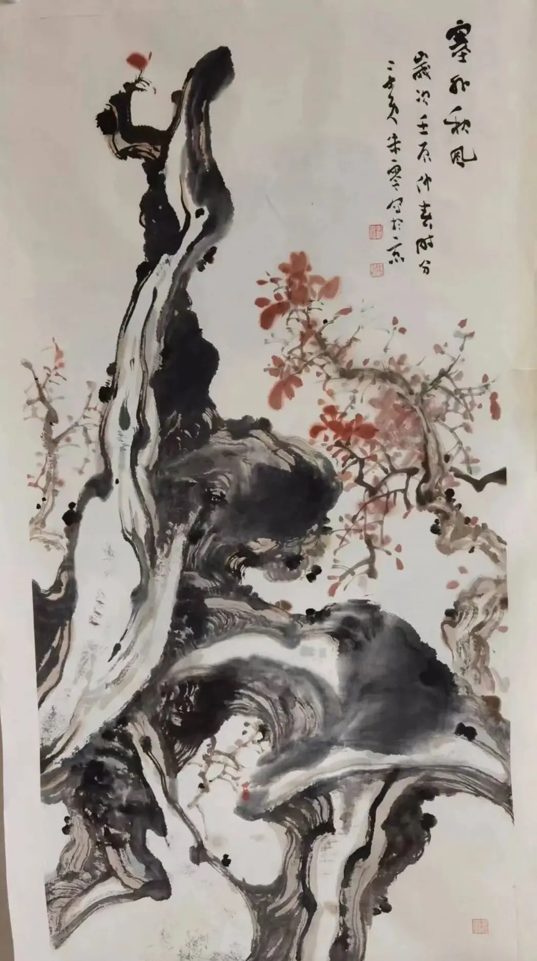 图片