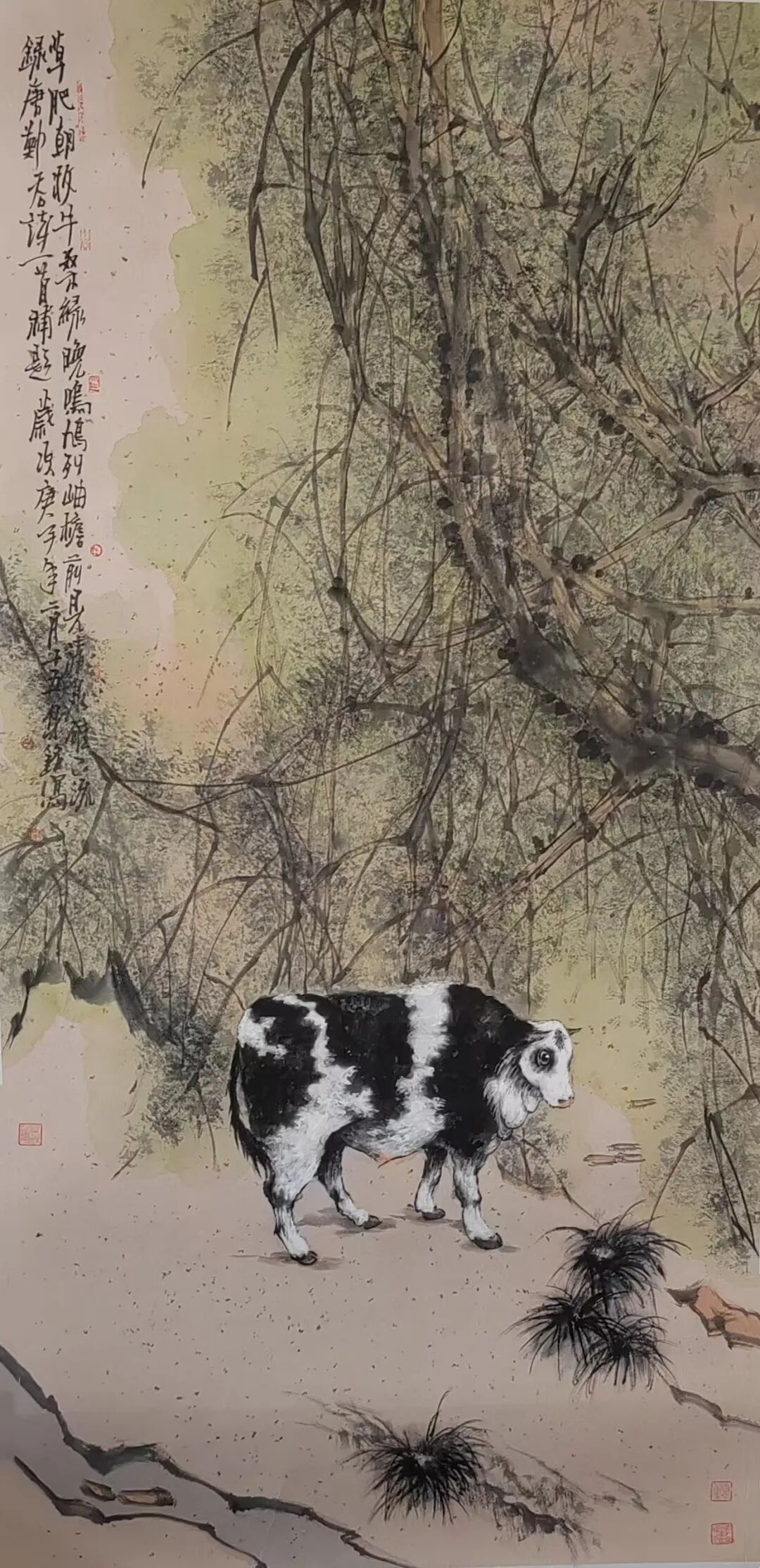 图片