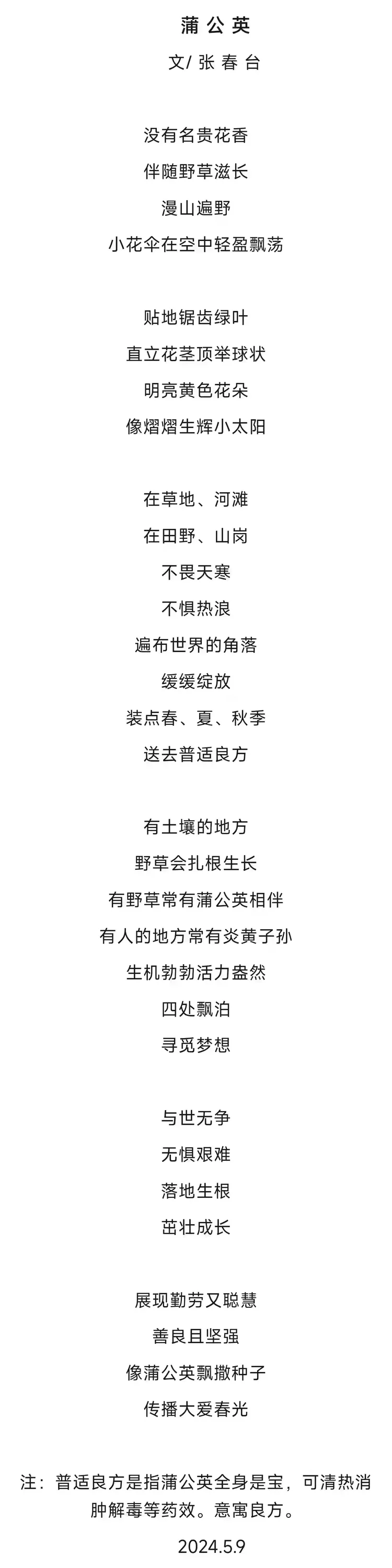 张春台——【学术聚焦】中国文化艺术提名双年展（图36）