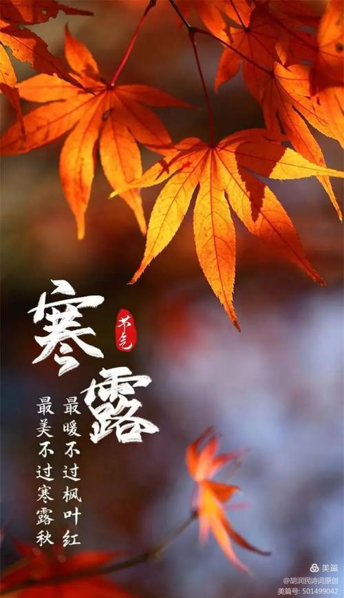 怀君属秋夜,散步咏凉天;千家风扫叶,万里雁随阳;袅袅凉风动,凄凄寒露