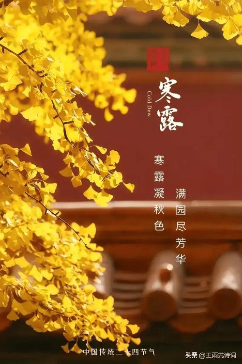 七律·寒露感怀