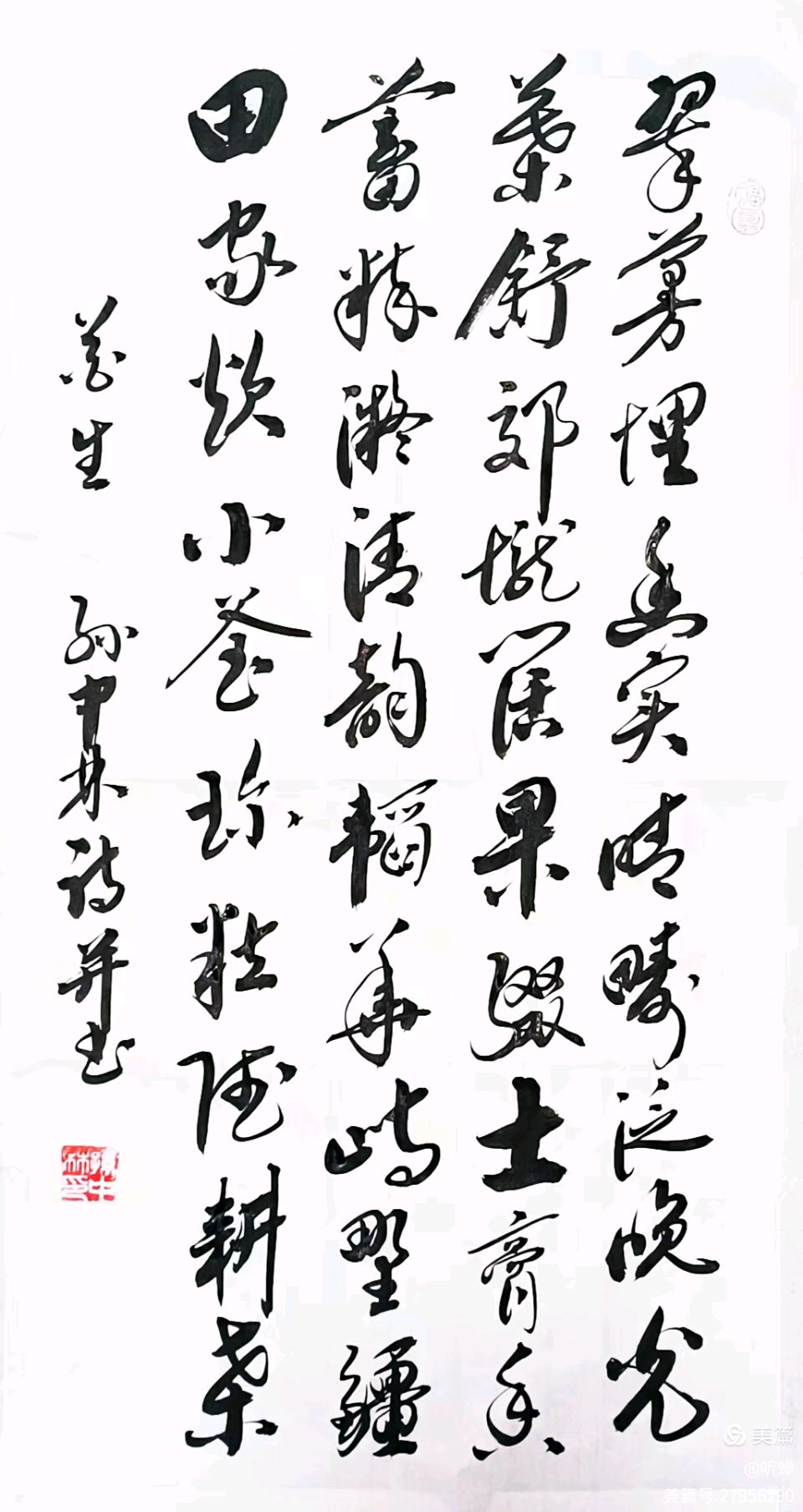 华夏流水诗社/听蝉老师专辑（32）（图12）
