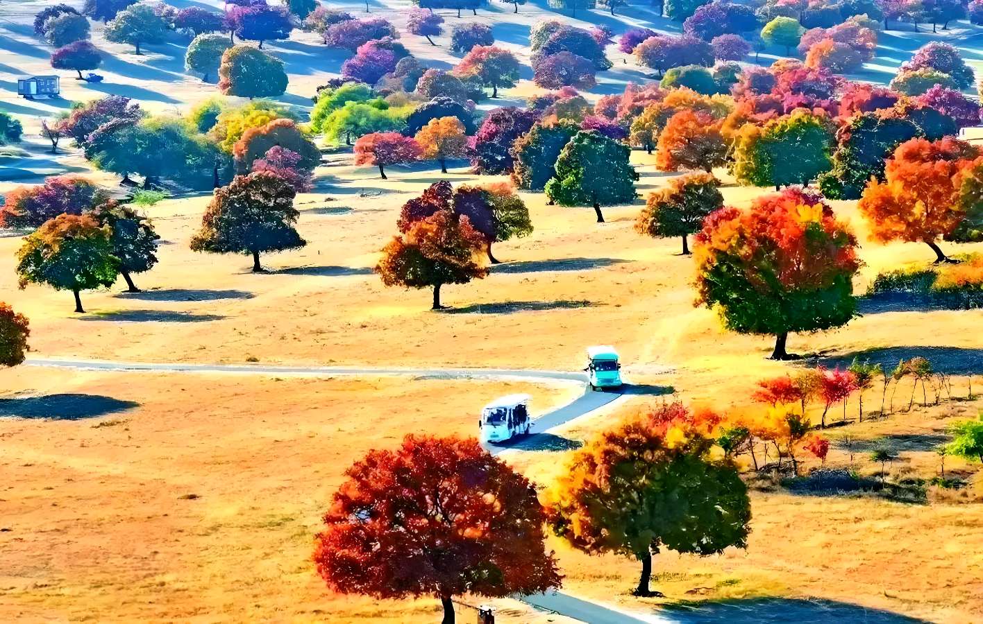 现代诗·神州处处皆天堂 文/师永德（图2）