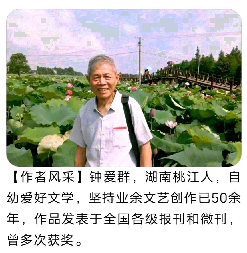 钟爱群(湖南):喜油茶籽丰收(图6)