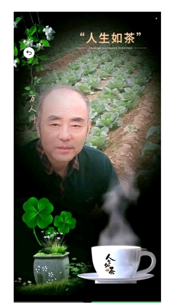烟火——附评析.张海峰(陕西)