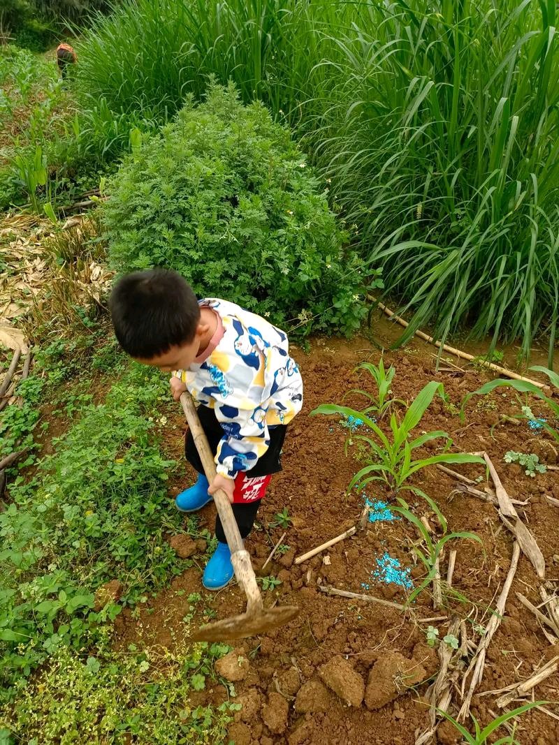 【燕赵文学】诗歌：温水（外六首）河北/高光锋（图2）
