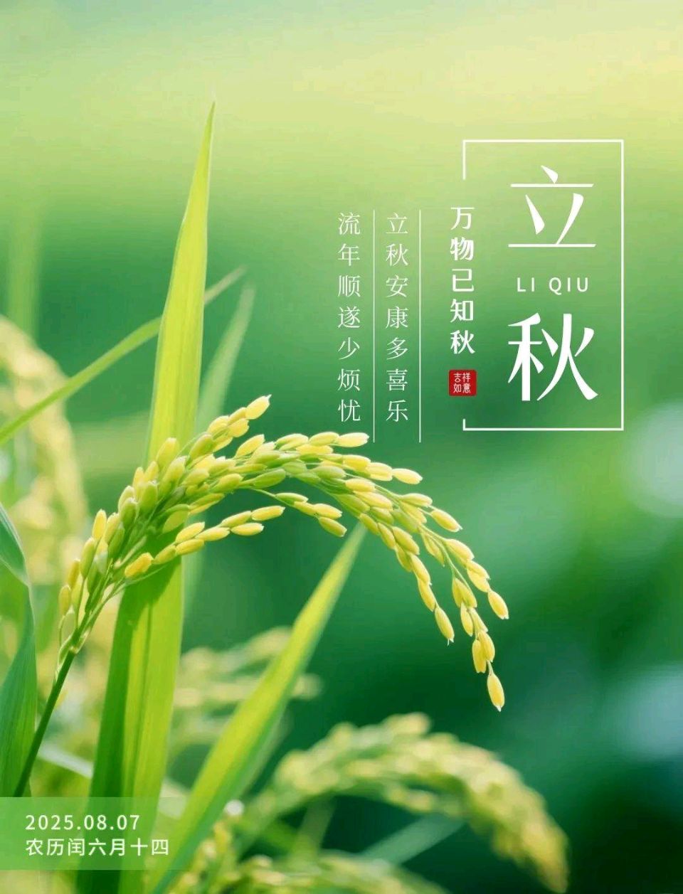 卫水洲的《给生活一个微笑，给岁月一份从容》